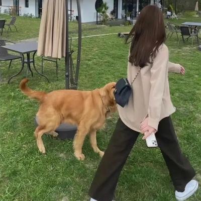 都市男女的爱情法则